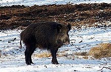 Fotó: MTI (Kovács Attila)