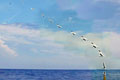 Forrás: NAVSEA-AUTEC Forrás: NAVSEA-AUTEC
