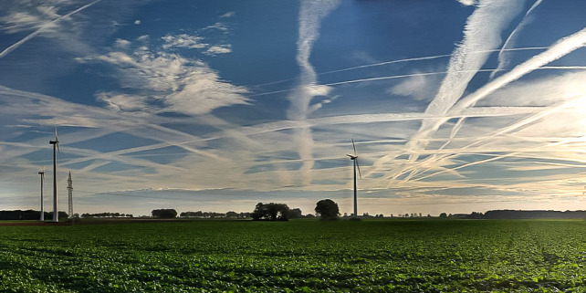 Forrás: Flickr/Jasmic