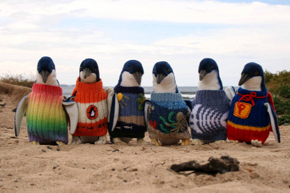 Forrás: Penguin Foundation / Facebook
