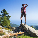 Forrás: Thinkstock