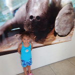 Forrás: South Florida Museum/Facebook