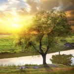 Forrás: Thinkstock