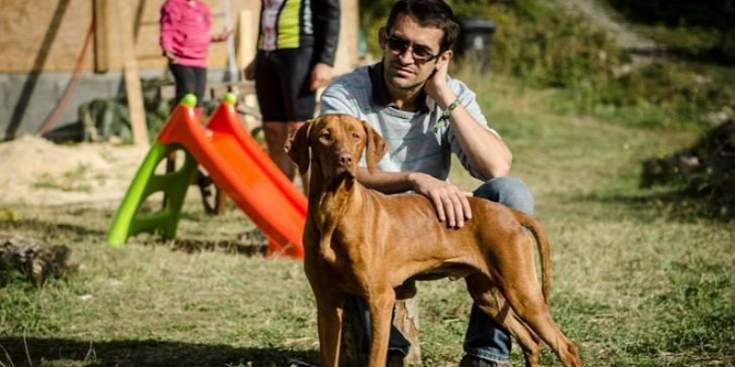 Pöcsügy: Haáz Sándor nem számít feljelentésre