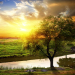 Forrás: Thinkstock
