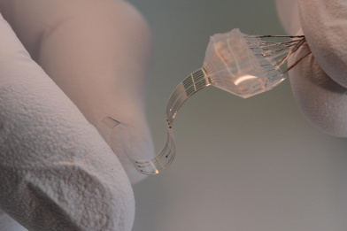 Forrás: C EPFL 2015