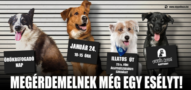 Forr�s: Vigy�l Haza Alap�tv�ny