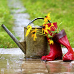 Forrás: Thinkstock