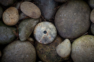 Forrás: Runcible