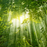 Forrás: Thinkstock