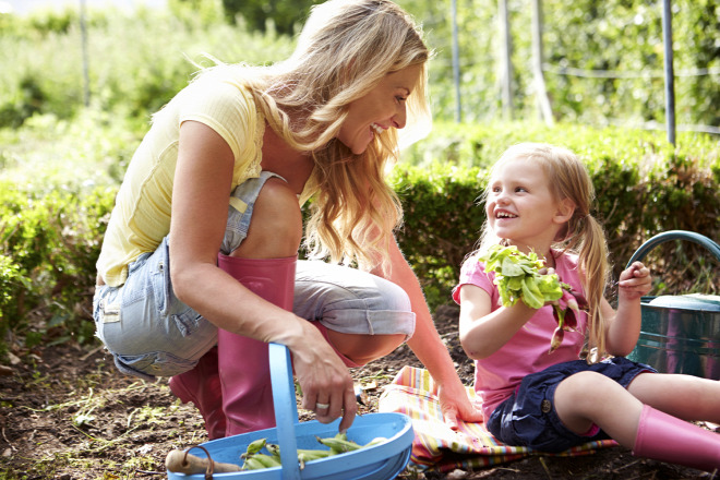 Forrás: Thinkstock Forrás: Thinkstock