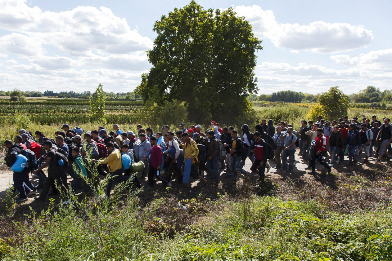 [Image: 20150921migrans.jpg?w=1263&amp;h=842]