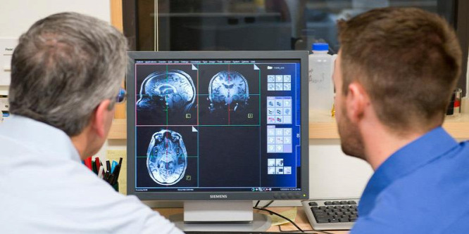 Néha feledékeny vagyok - honnan tudom, hogy ez Alzheimer-kór-e?