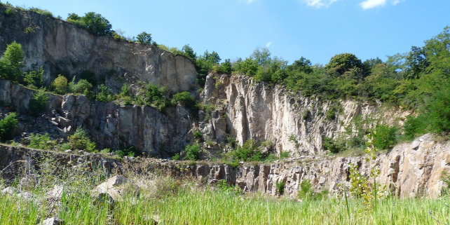 Forrás: Lantos Gábor