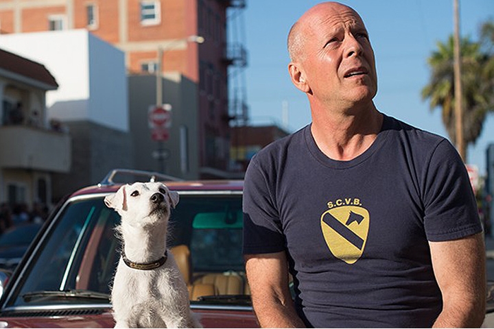 Nézze meg, milyen őrültségekre képes Bruce Willis a kutyájáért! - Origo