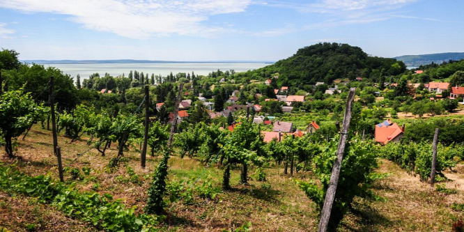 Még egy balatoni kedvenc, ahol nem csak strandolni jó