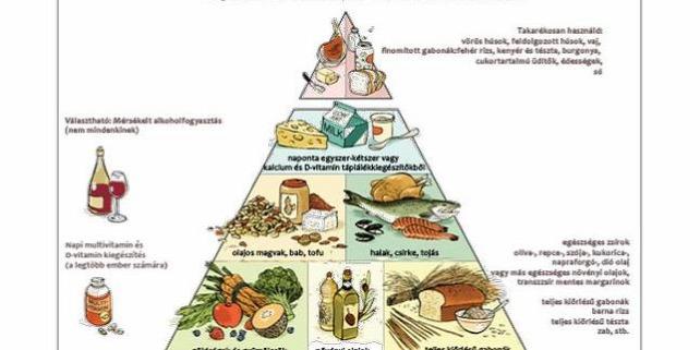 Forrás: https://www.hsph.harvard.edu/nutritionsource