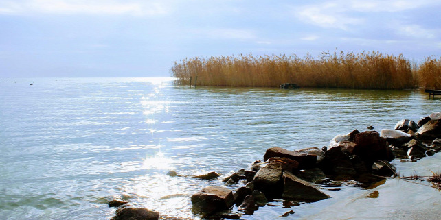 Forrás: Pixabay