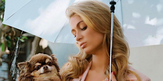 Nagyon készül valamire Paris Hilton