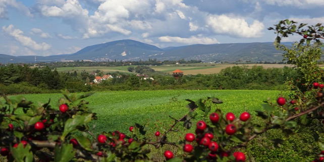 Forrás: Turista Magazin/Lánczi Péter
