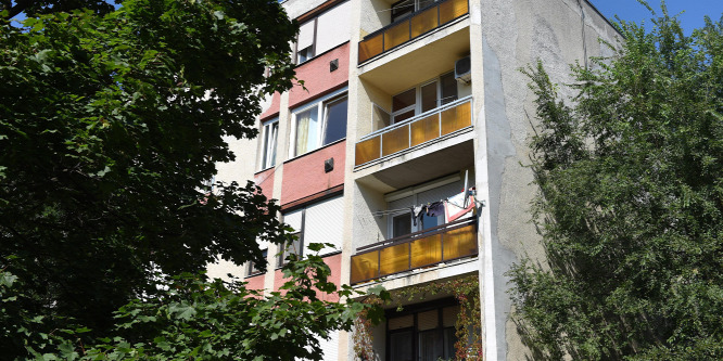 Rajz vezette a holttestekhez a rendőröket