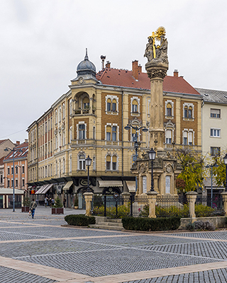 Forrás: Shutterstock