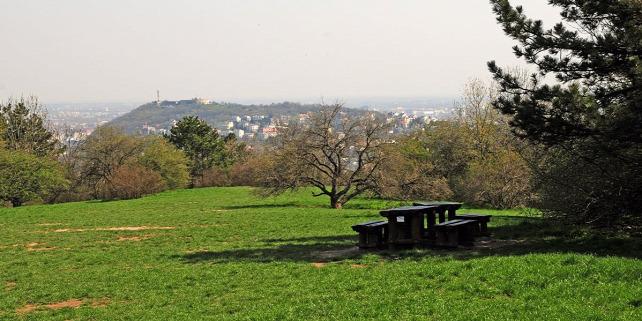 Forrás: Turista Magazin