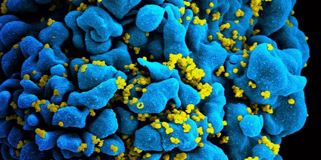 Forrás: Science News for Students