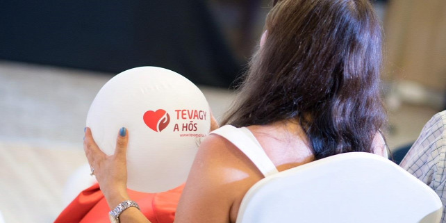 Forrás: TEVAgy a Hős!