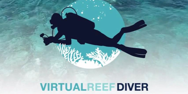 Forrás: www.virtualreef.org.au
