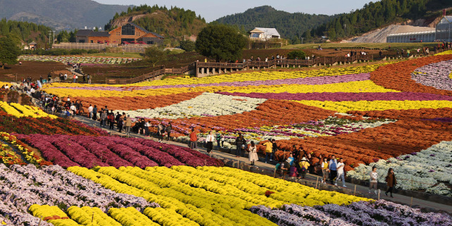 Forrás: AFP/XINHUA/Xinhua News Agency/Yang Wenbin