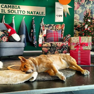 Forrás: Instagram/Milazzo Livio