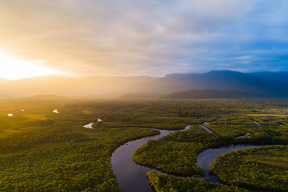 Forrás: Gustavo Frazao/Shutterstock